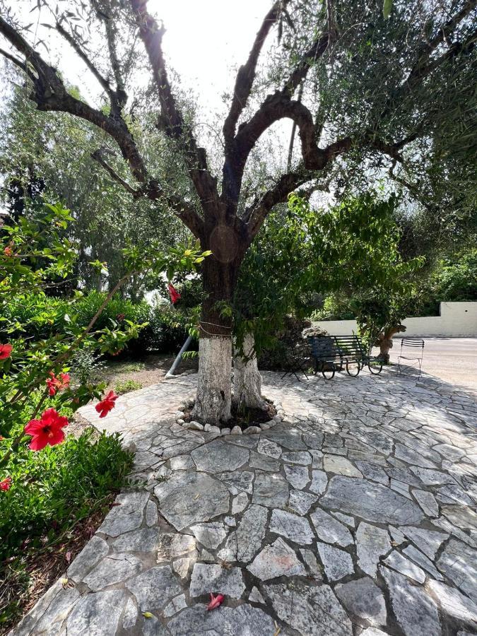 Lithino Apartments - 5Min From The Beach Άγιος Ιωάννης Περιστερών Εξωτερικό φωτογραφία