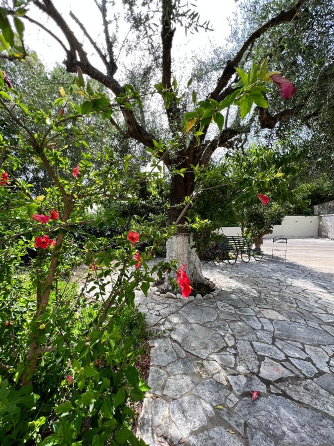 Lithino Apartments - 5Min From The Beach Άγιος Ιωάννης Περιστερών Εξωτερικό φωτογραφία